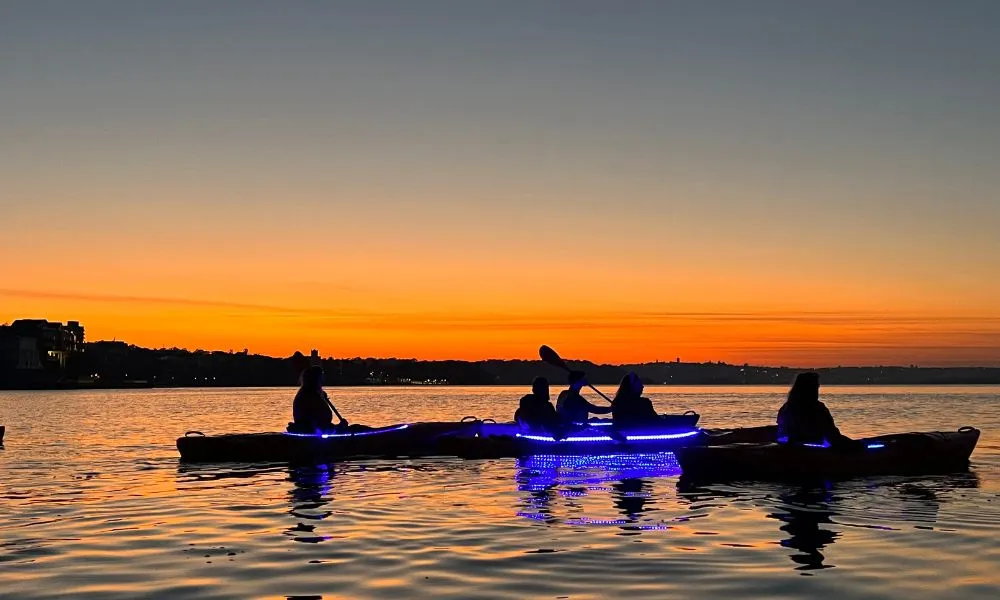 Sydney Harbour Vivid Lights Night Kayak Tour - Book Now | Experience Oz-4