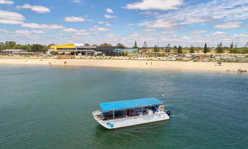 Bunbury Dolphin Discovery Eco Cruise | Experience Oz