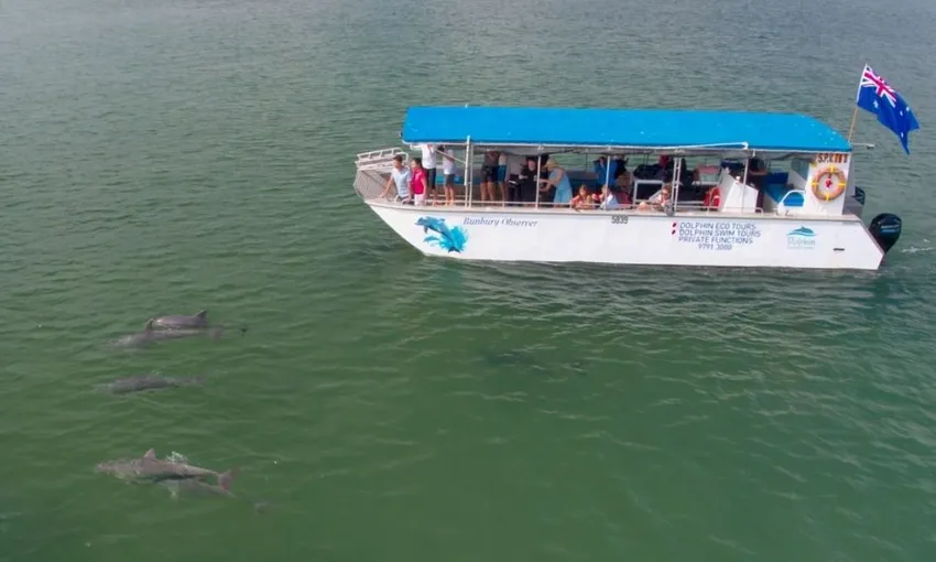 Bunbury Dolphin Discovery Eco Cruise | Experience Oz
