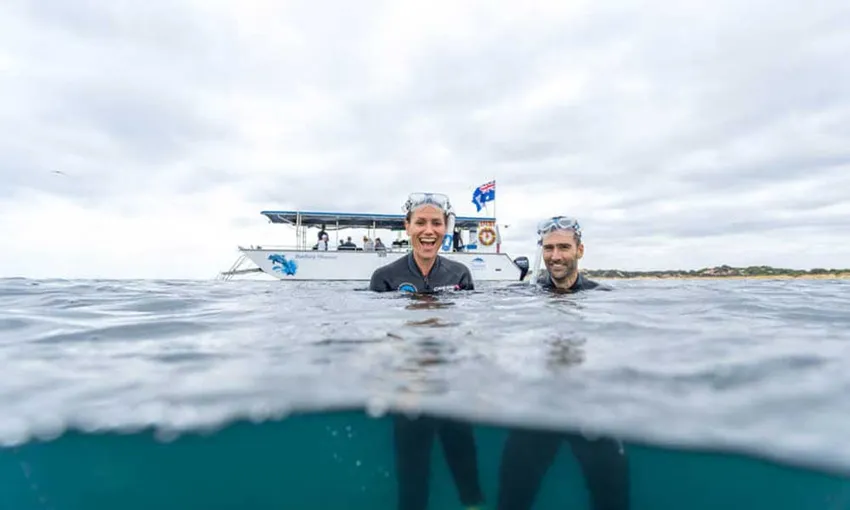 Swim with Wild Dolphins in Bunbury - Book Now | Experience Oz