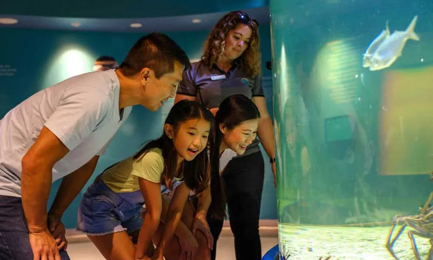 Dolphin Discovery Centre Entry Tickets - Book Now | Experience Oz