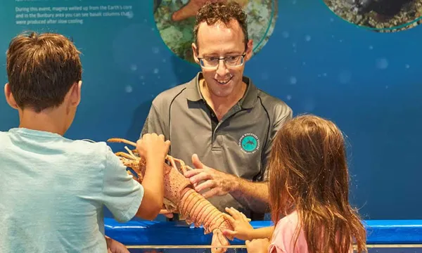 Dolphin Discovery Centre Bunbury Entry Tickets