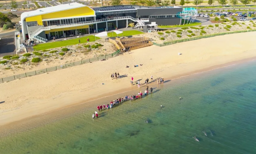 Dolphin Discovery Centre Entry Tickets - Book Now | Experience Oz