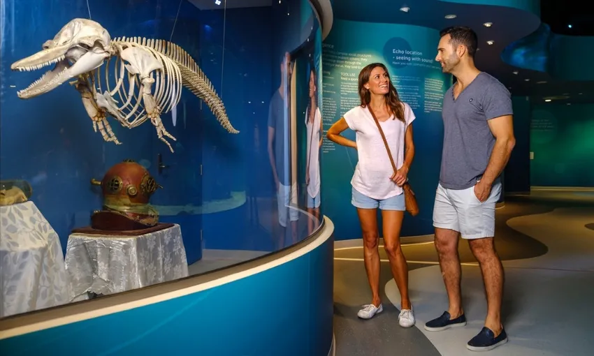 Dolphin Discovery Centre Entry Tickets - Book Now | Experience Oz