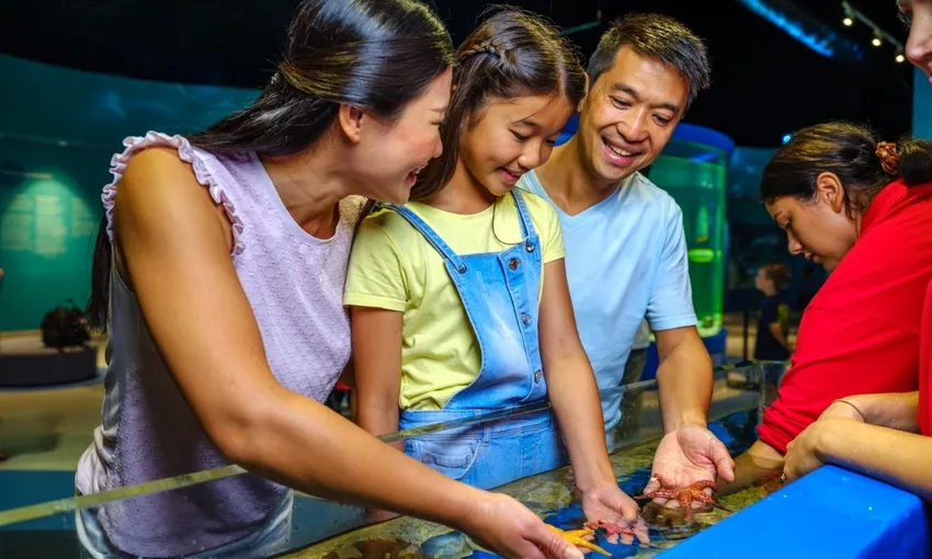 Dolphin Discovery Centre Entry Tickets - Book Now | Experience Oz