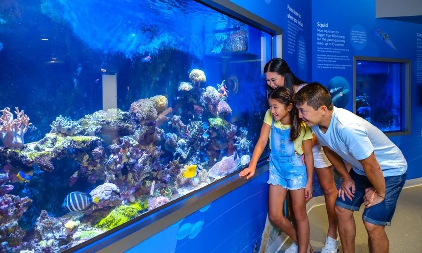 Dolphin Discovery Centre Entry Tickets - Book Now | Experience Oz