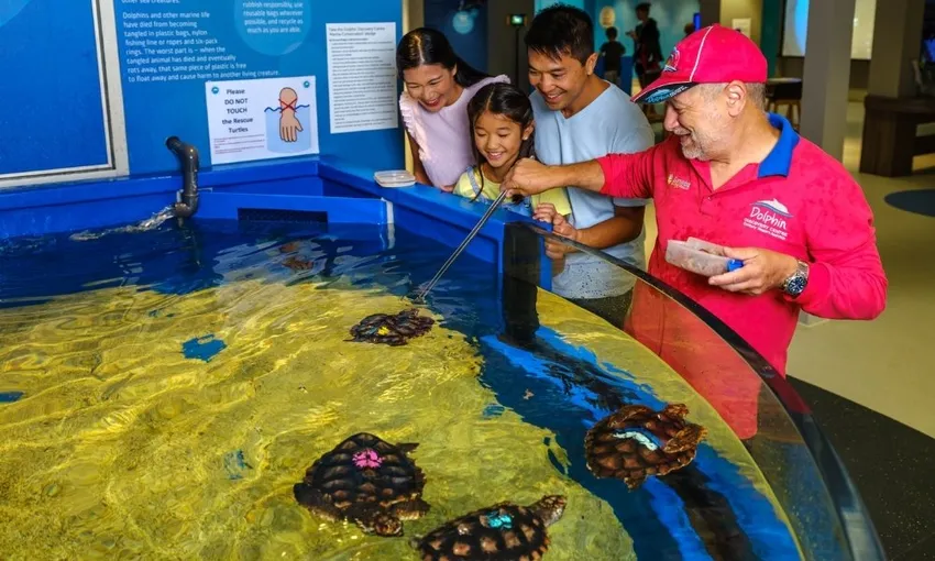 Dolphin Discovery Centre Entry Tickets - Book Now | Experience Oz