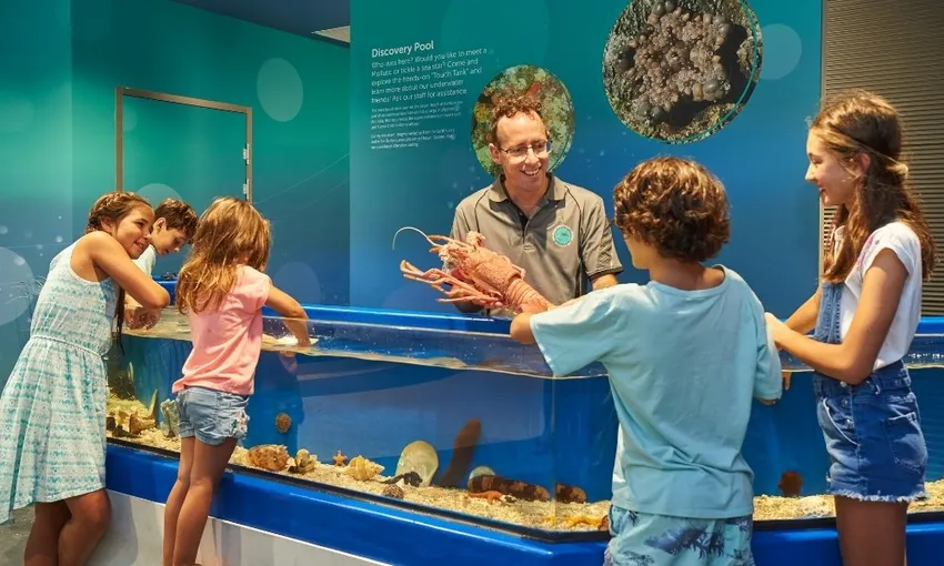 Dolphin Discovery Centre Entry Tickets - Book Now | Experience Oz