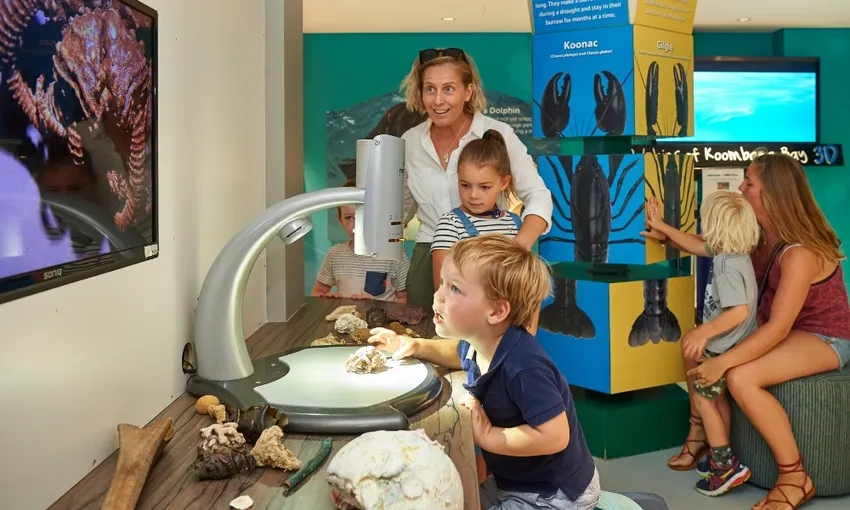 Dolphin Discovery Centre Entry Tickets - Book Now | Experience Oz
