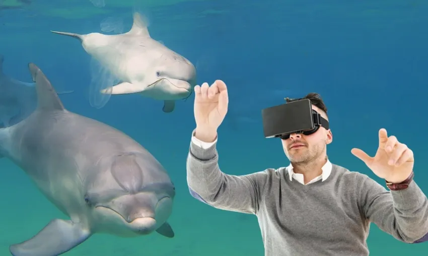 Dolphin Discovery Centre Entry Tickets - Book Now | Experience Oz