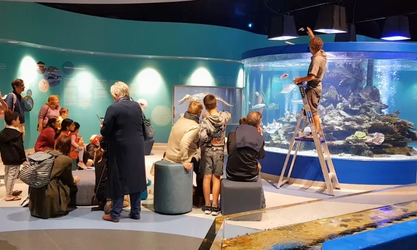 Dolphin Discovery Centre Entry Tickets - Book Now | Experience Oz