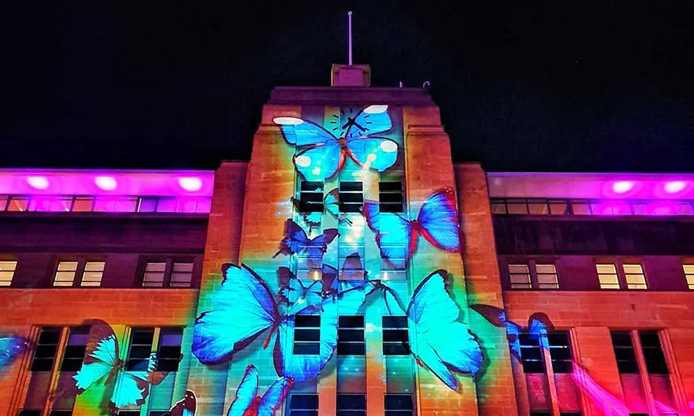 Vivid Sydney Intimate Catamaran Cruise with Canapes | Experience Oz-2