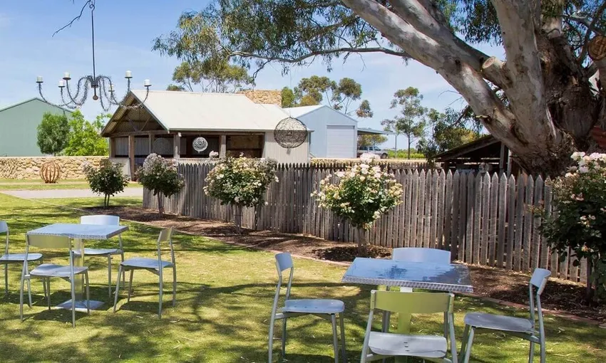 McLaren Vale South Hop-On-Off Wine Tour - Local Pickup | ExperienceOz