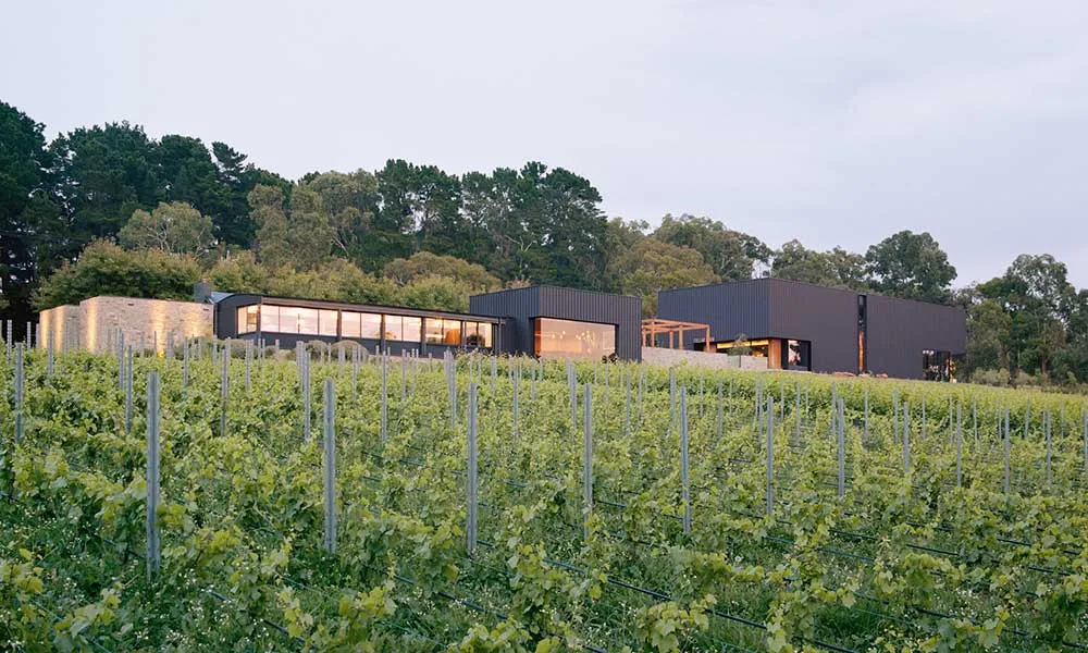 Ten Minutes by Tractor Terrior Wine Masterclass - Book Now | Experience Oz-5