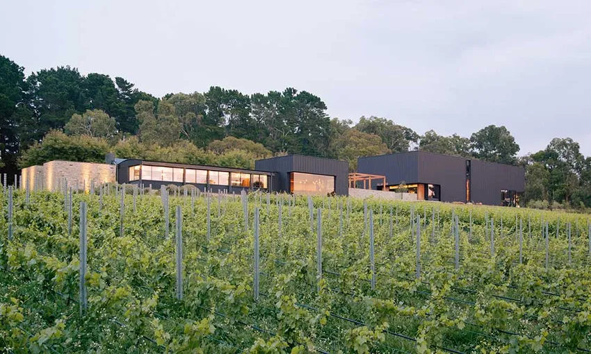 Ten Minutes by Tractor Terrior Wine Masterclass - Book Now | Experience Oz
