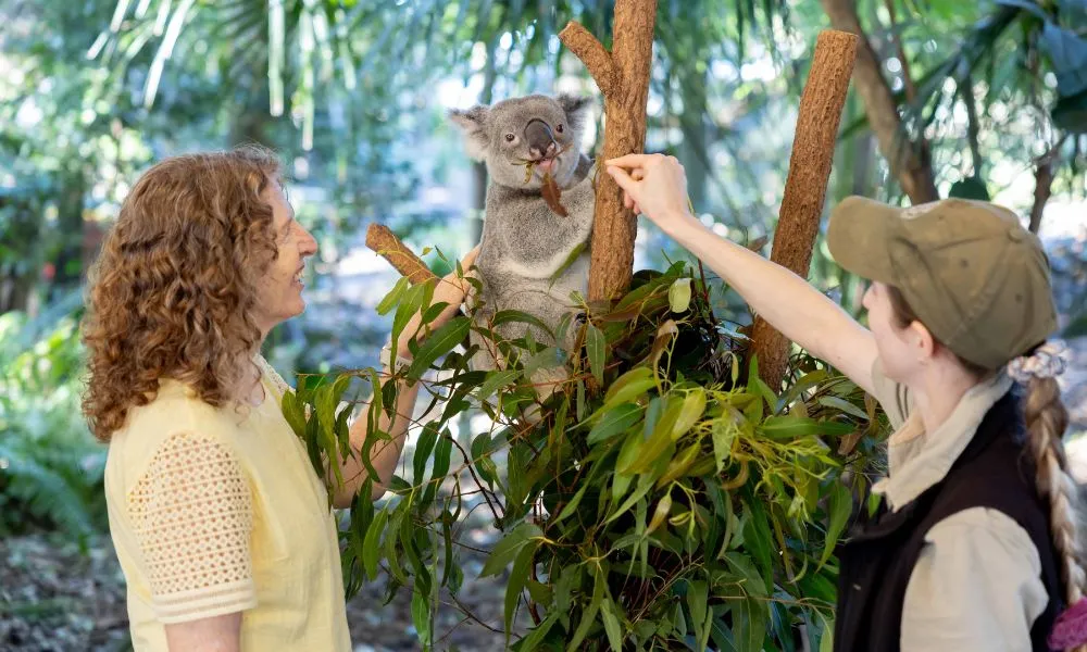 Lone Pine Koala Sanctuary & Cruise Package  | Experience Oz-2
