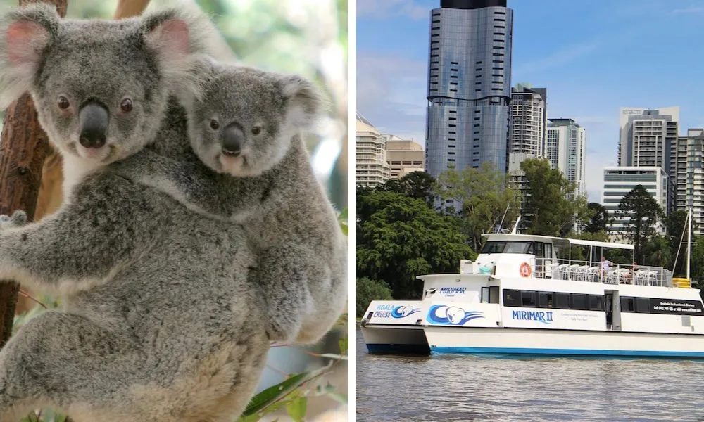 Lone Pine Koala Sanctuary & Cruise Package  | Experience Oz-1