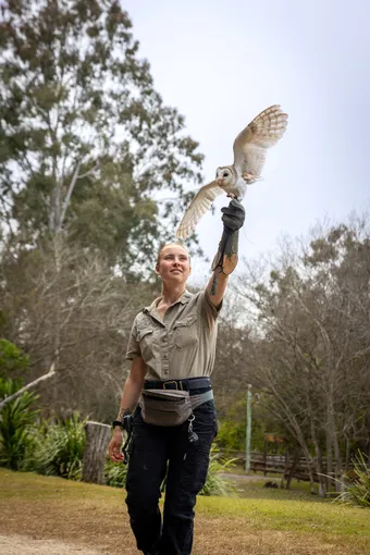 Lone Pine Koala Sanctuary & Cruise Package  | Experience Oz
