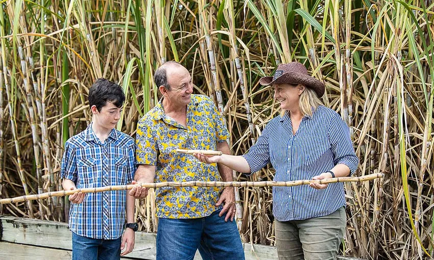 Sarina Sugar Shed Tour and Tasting - Book Now | Experience Oz