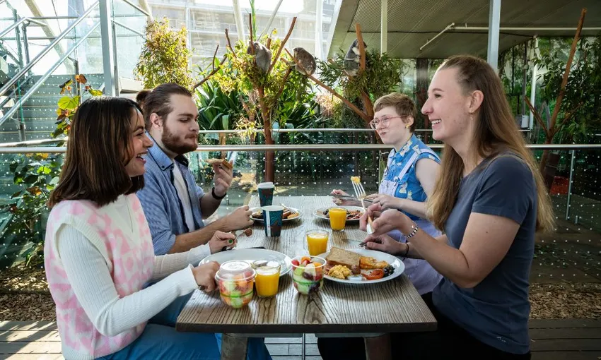 Breakfast with Koalas at WILD LIFE Sydney | Experience Oz