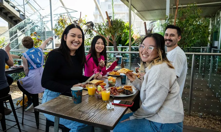Breakfast with Koalas at WILD LIFE Sydney | Experience Oz