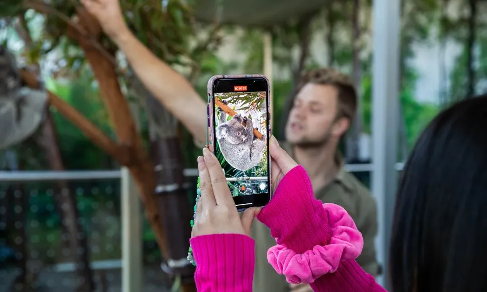 Breakfast with Koalas at WILD LIFE Sydney | Experience Oz-6