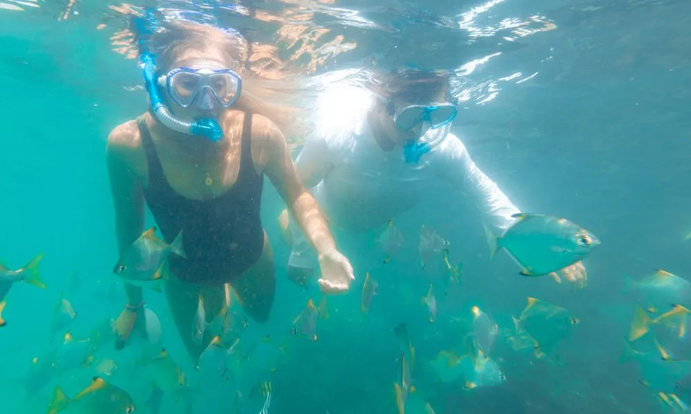 Gold Coast Sunset Twilight Kayak Tour - Book Now | Experience Oz-7