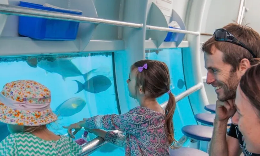 Great Barrier Reef Cruise to Moore Reef Pontoon | Experience Oz
