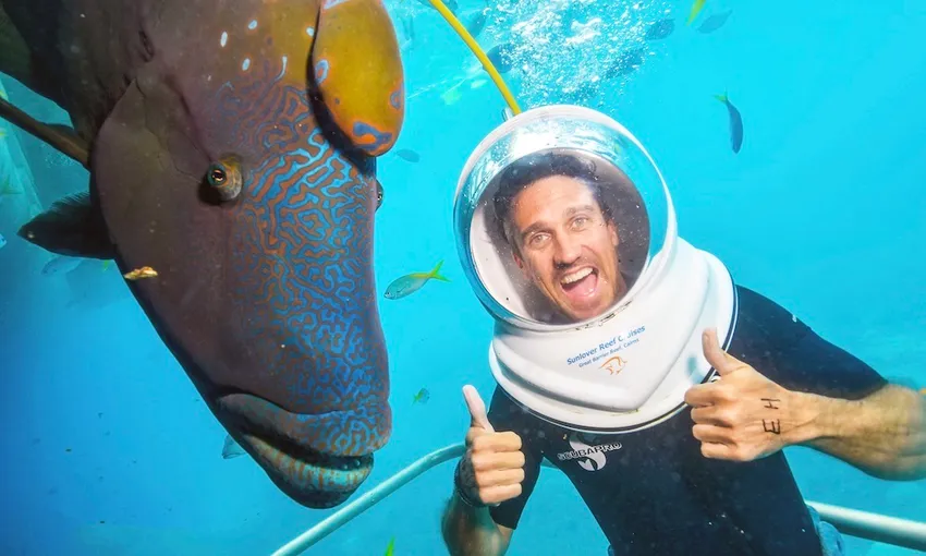 Great Barrier Reef Cruise to Moore Reef Pontoon | Experience Oz