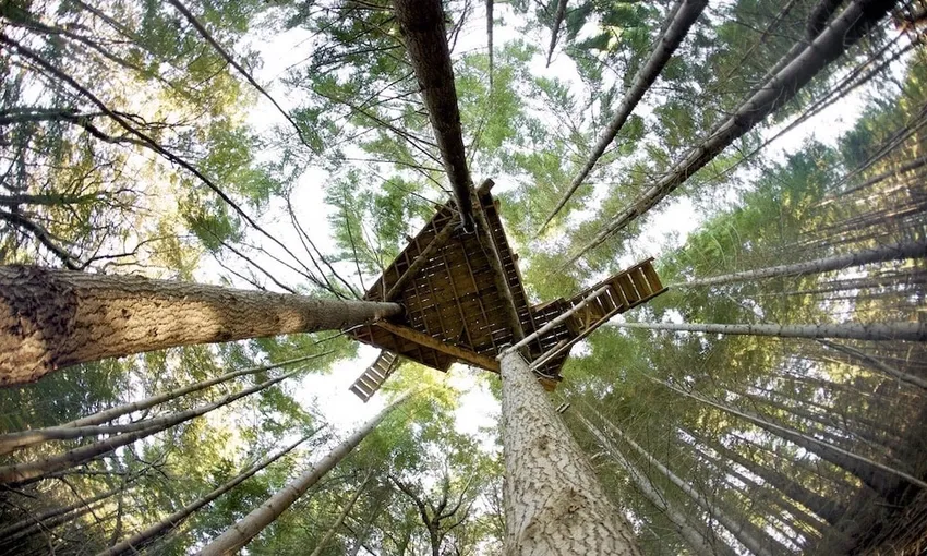 Moa Zipline Adventure Tour Queenstown New Zealand | Experience Oz