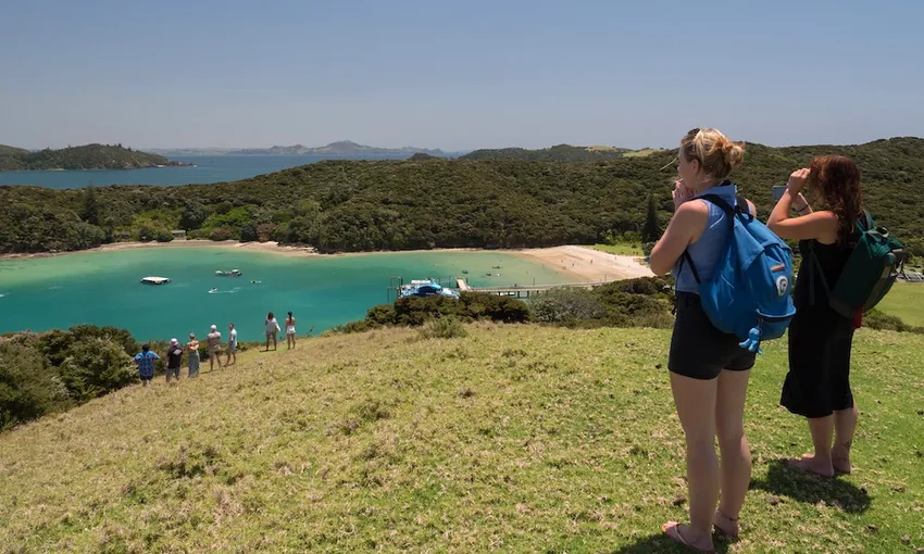 Hole in the Rock Dolphin Cruise Bay of Islands | Experience Oz