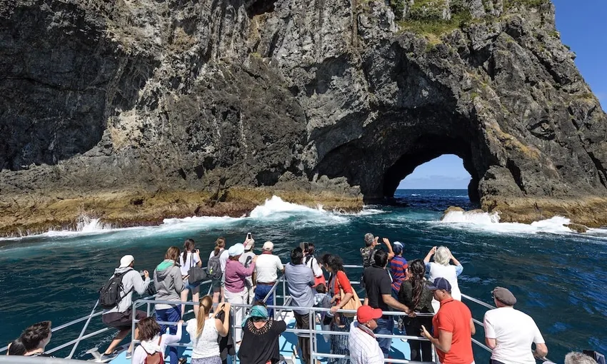 Hole in the Rock Dolphin Cruise Bay of Islands | Experience Oz