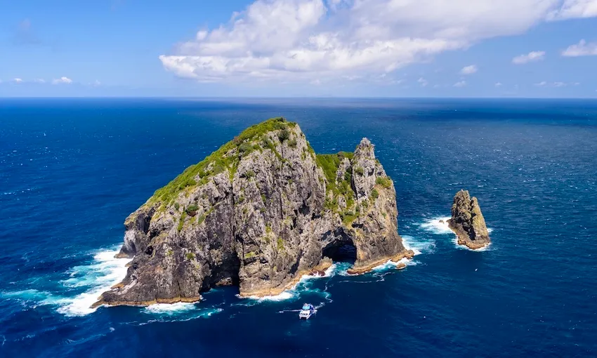 Hole in the Rock Dolphin Cruise Bay of Islands | Experience Oz