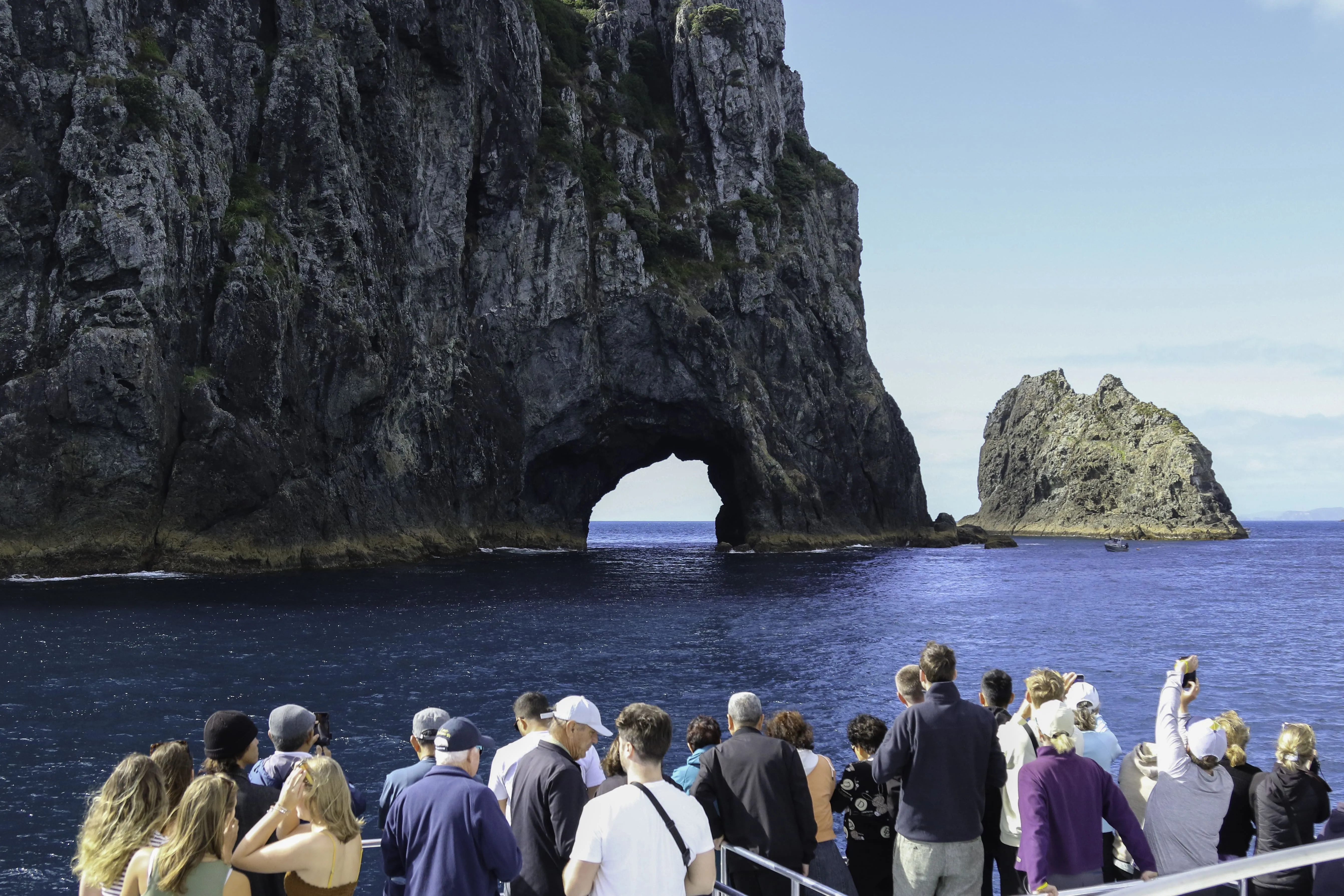 Hole in the Rock Dolphin Cruise Bay of Islands | Experience Oz-7