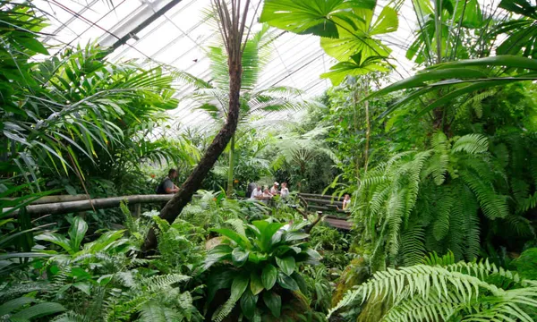 Australian Butterfly Sanctuary Entry Tickets