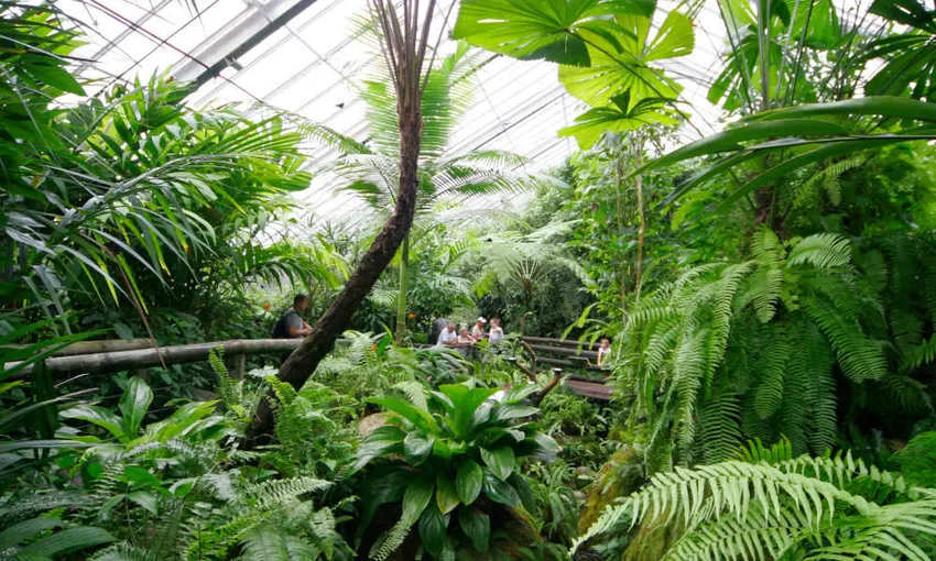 Australian Butterfly Sanctuary Tickets - Buy Now | Experience Oz