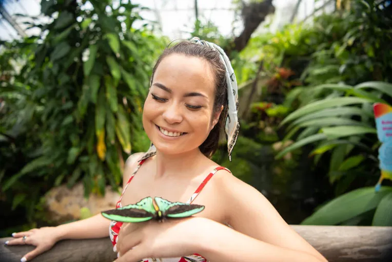 Australian Butterfly Sanctuary Tickets - Buy Now | Experience Oz