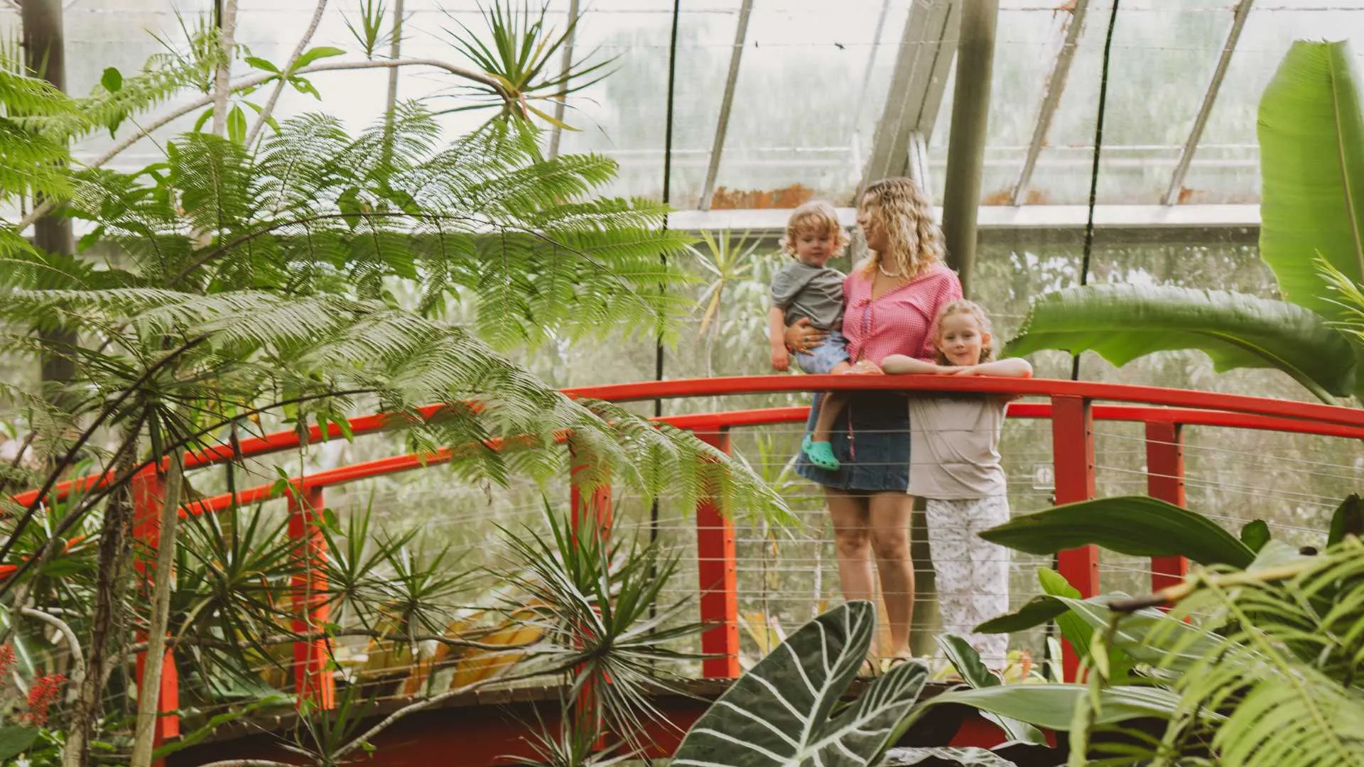 Australian Butterfly Sanctuary Tickets - Buy Now | Experience Oz-1