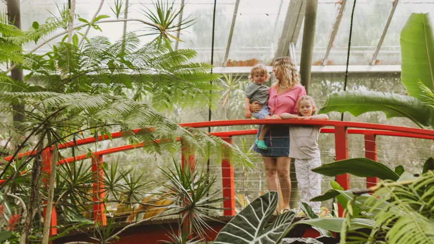 Australian Butterfly Sanctuary Tickets - Buy Now | Experience Oz