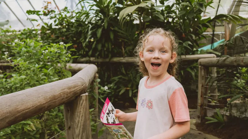 Australian Butterfly Sanctuary Tickets - Buy Now | Experience Oz