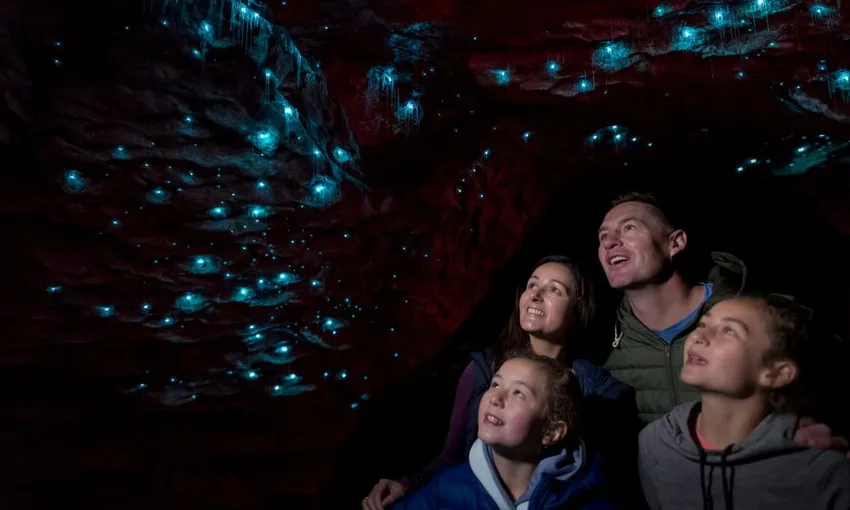 Te Anau Glow Worm Caves Tours New Zealand - Buy Now | Experience Oz