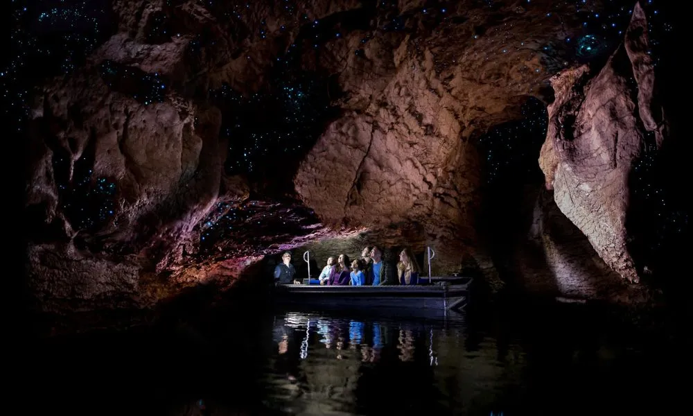 Te Anau Glow Worm Caves Tours New Zealand - Buy Now | Experience Oz-2