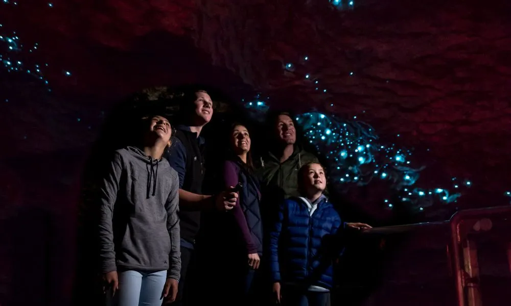 Te Anau Glow Worm Caves Tours New Zealand - Buy Now | Experience Oz-3