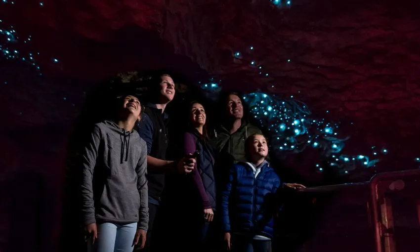 Te Anau Glow Worm Caves Tours New Zealand - Buy Now | Experience Oz