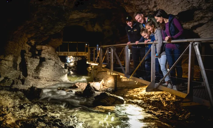 Te Anau Glow Worm Caves Tours New Zealand - Buy Now | Experience Oz