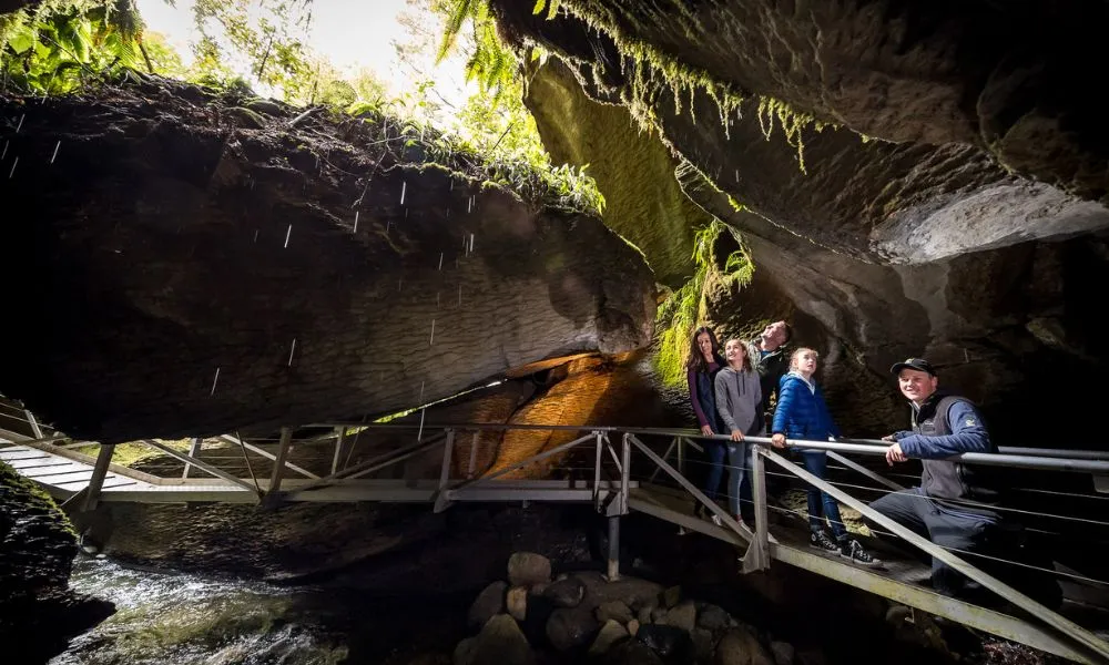 Te Anau Glow Worm Caves Tours New Zealand - Buy Now | Experience Oz-5