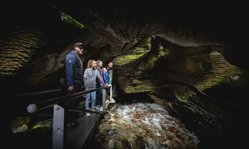 Te Anau Glow Worm Caves Tours New Zealand - Buy Now | Experience Oz