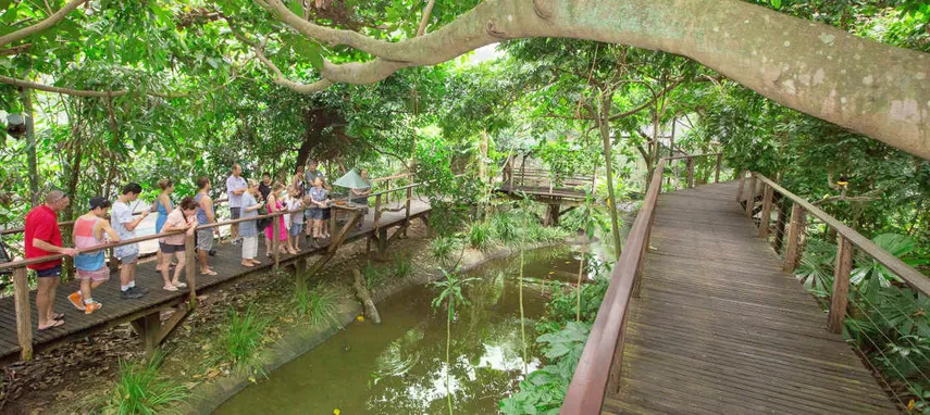Wildlife Habitat Port Douglas Tickets - Book Now | Experience Oz 