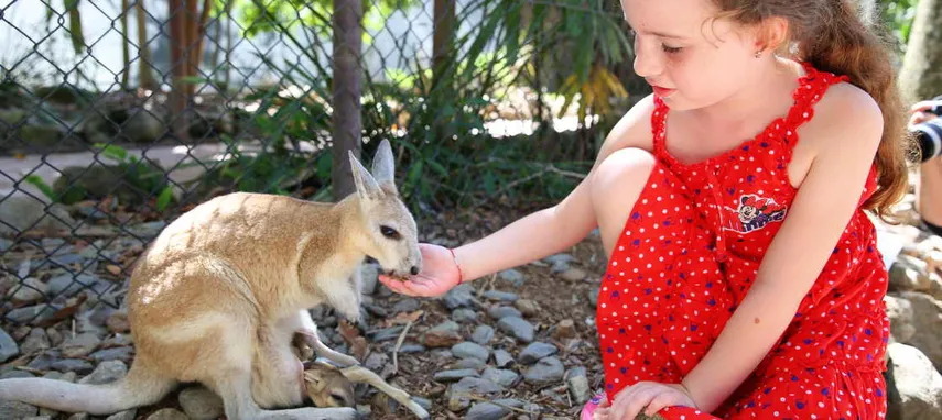 Wildlife Habitat Port Douglas Tickets - Book Now | Experience Oz 