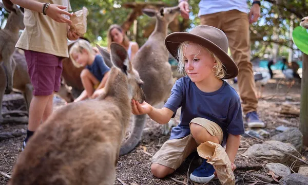 Wildlife Habitat Port Douglas Tickets